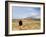 Yellowstone National Park, Wyoming, USA-Rolf Nussbaumer-Framed Photographic Print