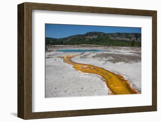 Yellowstone National Park, Wyoming, USA-Roddy Scheer-Framed Photographic Print