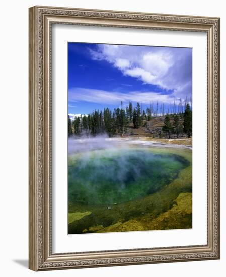 Yellowstone National Park, Wyoming-Walter Bibikow-Framed Photographic Print