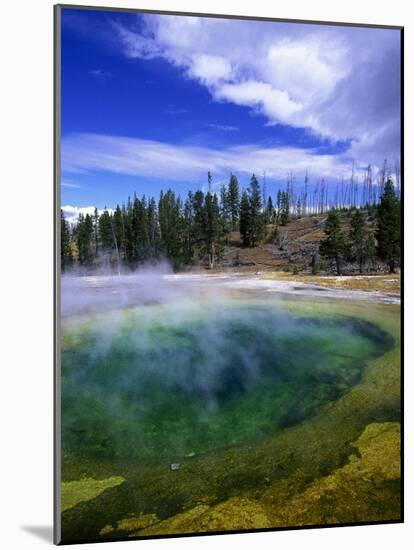 Yellowstone National Park, Wyoming-Walter Bibikow-Mounted Photographic Print