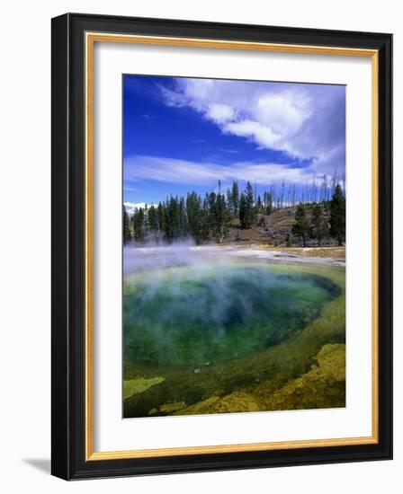 Yellowstone National Park, Wyoming-Walter Bibikow-Framed Photographic Print