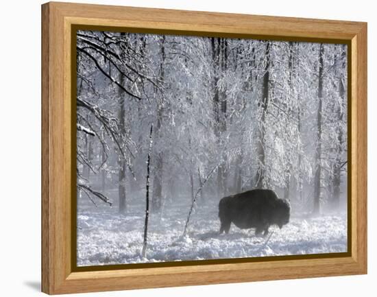 Yellowstone Norton-Laura Rauch-Framed Premier Image Canvas