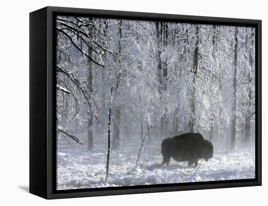 Yellowstone Norton-Laura Rauch-Framed Premier Image Canvas