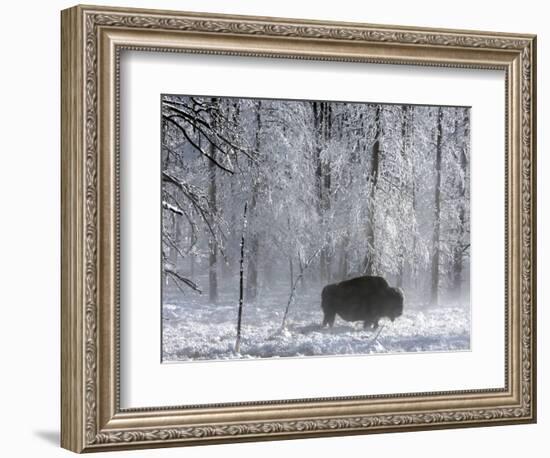 Yellowstone Norton-Laura Rauch-Framed Photographic Print