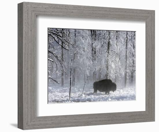 Yellowstone Norton-Laura Rauch-Framed Photographic Print