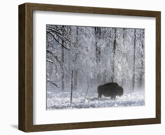 Yellowstone Norton-Laura Rauch-Framed Photographic Print