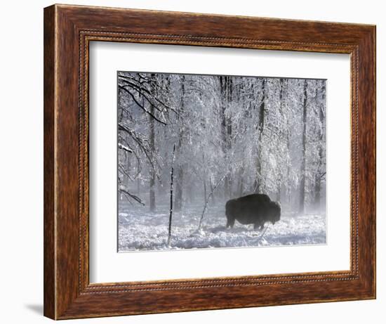 Yellowstone Norton-Laura Rauch-Framed Photographic Print