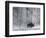 Yellowstone Norton-Laura Rauch-Framed Photographic Print