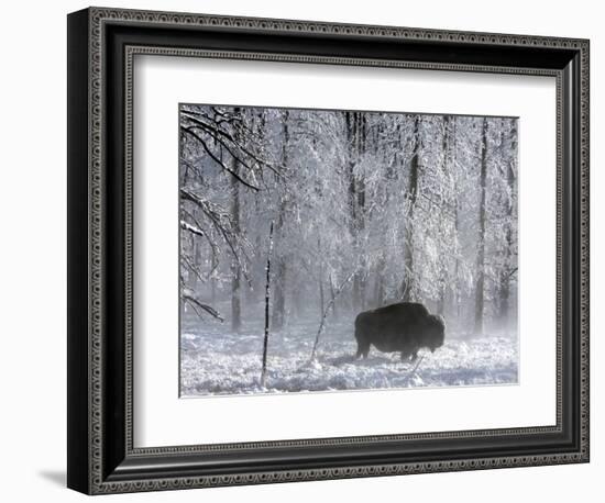 Yellowstone Norton-Laura Rauch-Framed Photographic Print