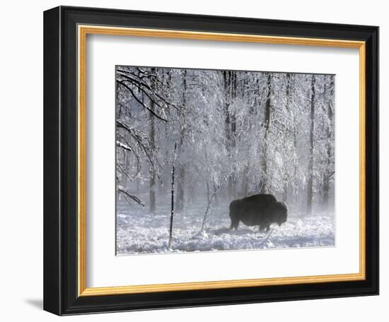 Yellowstone Norton-Laura Rauch-Framed Photographic Print