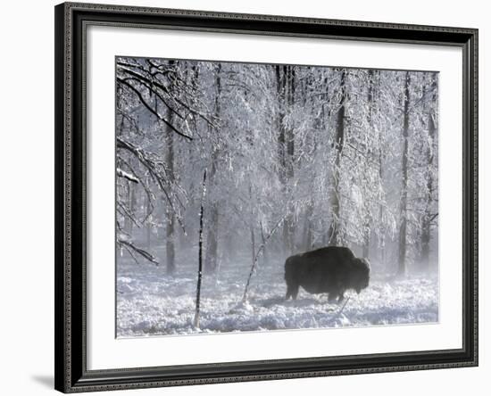 Yellowstone Norton-Laura Rauch-Framed Photographic Print