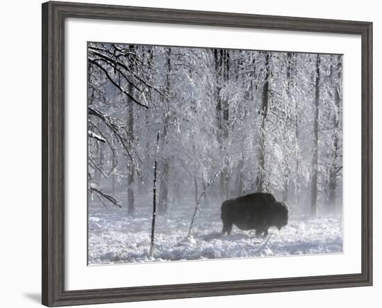 Yellowstone Norton-Laura Rauch-Framed Photographic Print