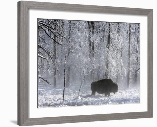 Yellowstone Norton-Laura Rauch-Framed Photographic Print