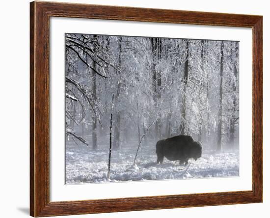 Yellowstone Norton-Laura Rauch-Framed Photographic Print