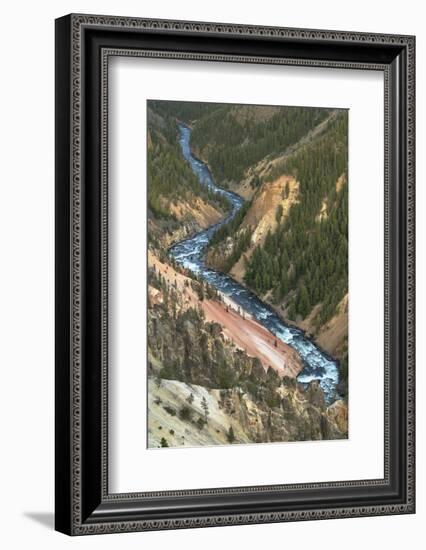 Yellowstone River cutting through rhyolite cliffs, Grand Canyon of the Yellowstone, Yellowstone NP-Alan Majchrowicz-Framed Photographic Print