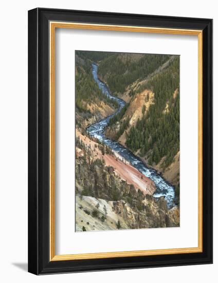 Yellowstone River cutting through rhyolite cliffs, Grand Canyon of the Yellowstone, Yellowstone NP-Alan Majchrowicz-Framed Photographic Print