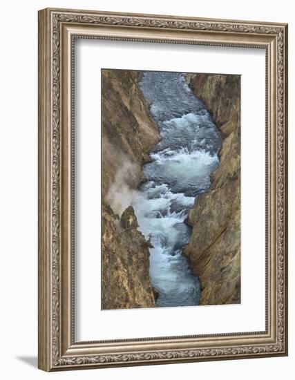 Yellowstone River cutting through rhyolite cliffs, Grand Canyon of the Yellowstone, Yellowstone NP-Alan Majchrowicz-Framed Photographic Print