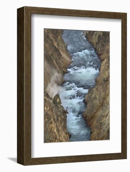 Yellowstone River cutting through rhyolite cliffs, Grand Canyon of the Yellowstone, Yellowstone NP-Alan Majchrowicz-Framed Photographic Print