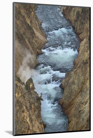 Yellowstone River cutting through rhyolite cliffs, Grand Canyon of the Yellowstone, Yellowstone NP-Alan Majchrowicz-Mounted Photographic Print