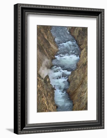 Yellowstone River cutting through rhyolite cliffs, Grand Canyon of the Yellowstone, Yellowstone NP-Alan Majchrowicz-Framed Photographic Print