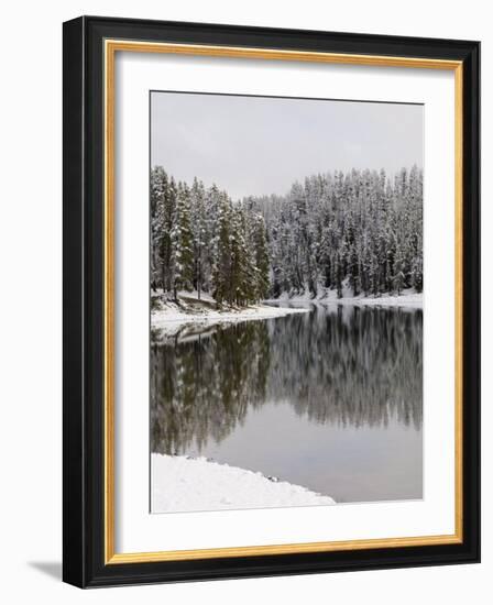 Yellowstone River in Winter, Yellowstone National Park, UNESCO World Heritage Site, Wyoming, USA-Pitamitz Sergio-Framed Photographic Print