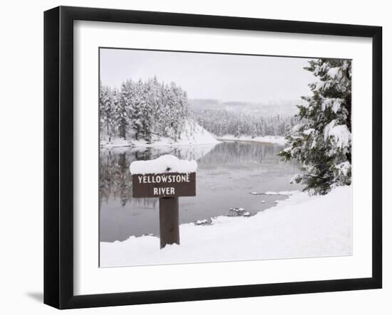 Yellowstone River, Yellowstone National Park, UNESCO World Heritage Site, Wyoming, USA-Pitamitz Sergio-Framed Photographic Print