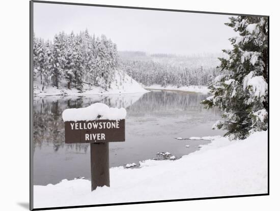 Yellowstone River, Yellowstone National Park, UNESCO World Heritage Site, Wyoming, USA-Pitamitz Sergio-Mounted Photographic Print