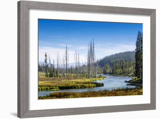 Yellowstone River, Yellowstone National Park, Wyoming, Usa-John Warburton-lee-Framed Photographic Print