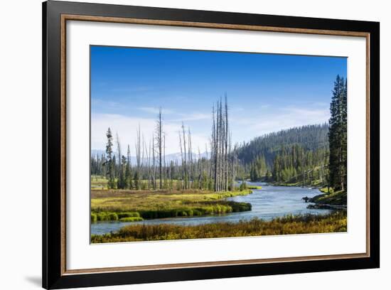 Yellowstone River, Yellowstone National Park, Wyoming, Usa-John Warburton-lee-Framed Photographic Print