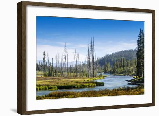 Yellowstone River, Yellowstone National Park, Wyoming, Usa-John Warburton-lee-Framed Photographic Print