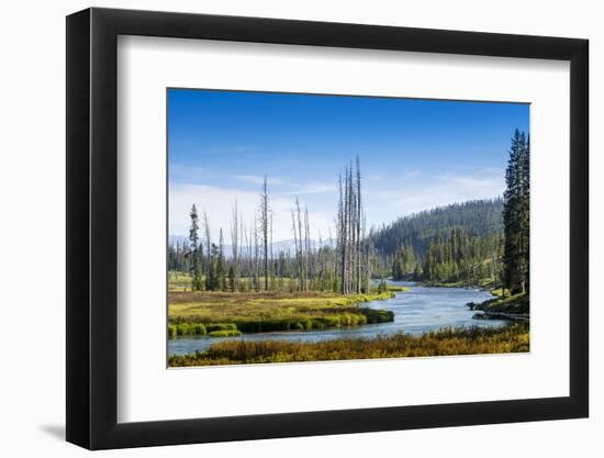 Yellowstone River, Yellowstone National Park, Wyoming, Usa-John Warburton-lee-Framed Photographic Print