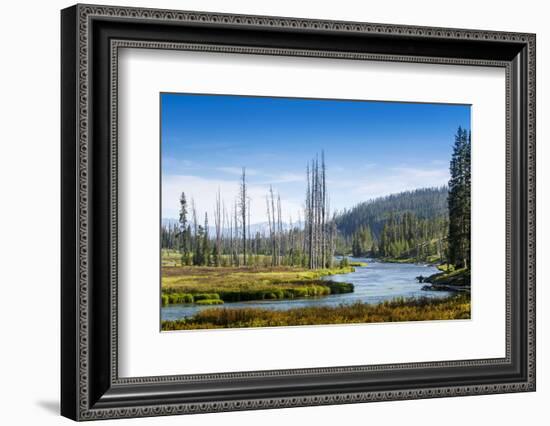 Yellowstone River, Yellowstone National Park, Wyoming, Usa-John Warburton-lee-Framed Photographic Print