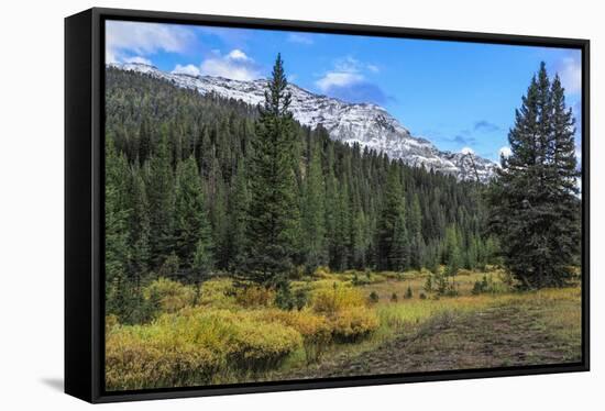 Yellowstone Sbc Landscape-Galloimages Online-Framed Stretched Canvas