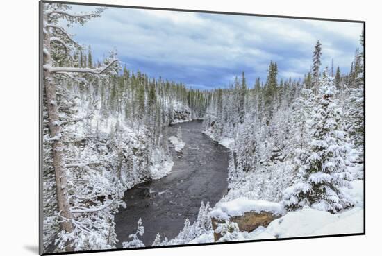 Yellowstone Winter In Fall-Galloimages Online-Mounted Photographic Print