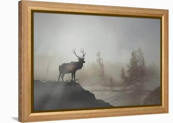 Yellowstone-Gordon Semmens-Framed Premier Image Canvas