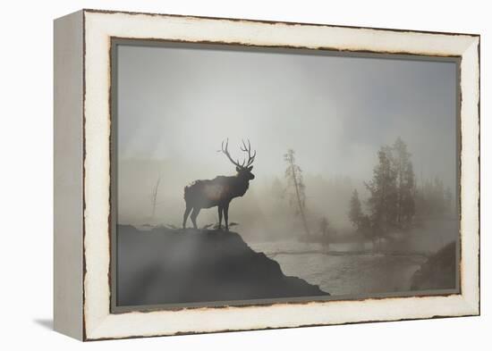 Yellowstone-Gordon Semmens-Framed Premier Image Canvas