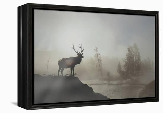 Yellowstone-Gordon Semmens-Framed Premier Image Canvas