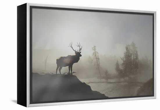 Yellowstone-Gordon Semmens-Framed Premier Image Canvas