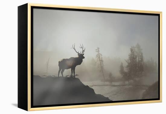 Yellowstone-Gordon Semmens-Framed Premier Image Canvas