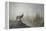 Yellowstone-Gordon Semmens-Framed Premier Image Canvas
