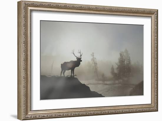 Yellowstone-Gordon Semmens-Framed Photographic Print