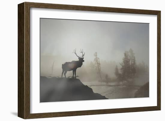 Yellowstone-Gordon Semmens-Framed Photographic Print