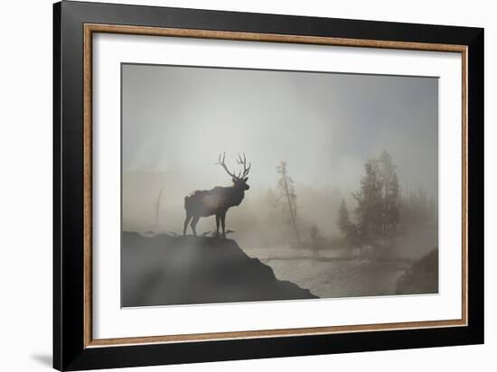 Yellowstone-Gordon Semmens-Framed Photographic Print