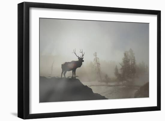 Yellowstone-Gordon Semmens-Framed Photographic Print