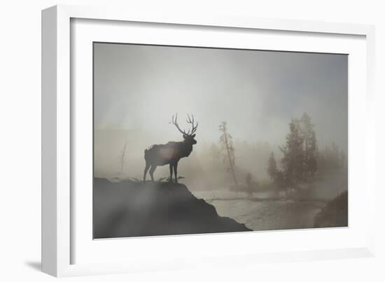 Yellowstone-Gordon Semmens-Framed Photographic Print