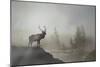 Yellowstone-Gordon Semmens-Mounted Photographic Print