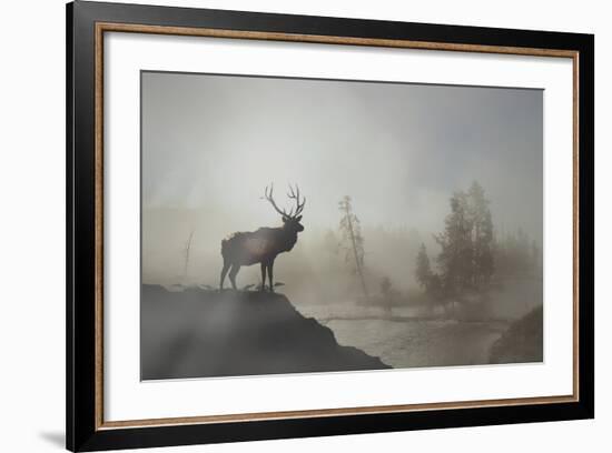 Yellowstone-Gordon Semmens-Framed Photographic Print