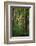 Yellowwood State Forest, Indiana, USA-Anna Miller-Framed Photographic Print