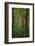 Yellowwood State Forest, Indiana, USA-Anna Miller-Framed Photographic Print