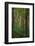 Yellowwood State Forest, Indiana, USA-Anna Miller-Framed Photographic Print